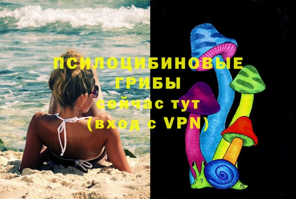 спайс Аркадак