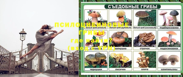 Альфа ПВП Арсеньев