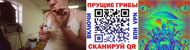 Псилоцибиновые грибы Cubensis  наркошоп  Мосальск 