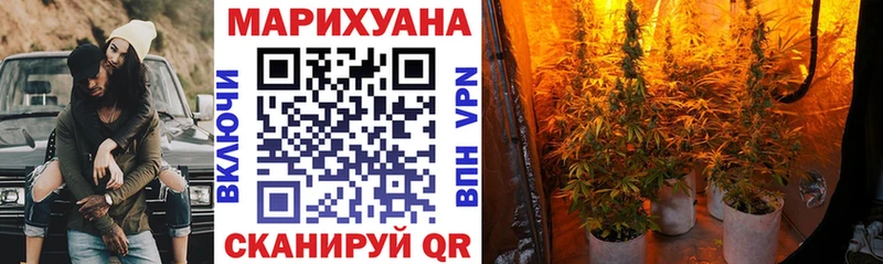 Конопля Bruce Banner Мосальск